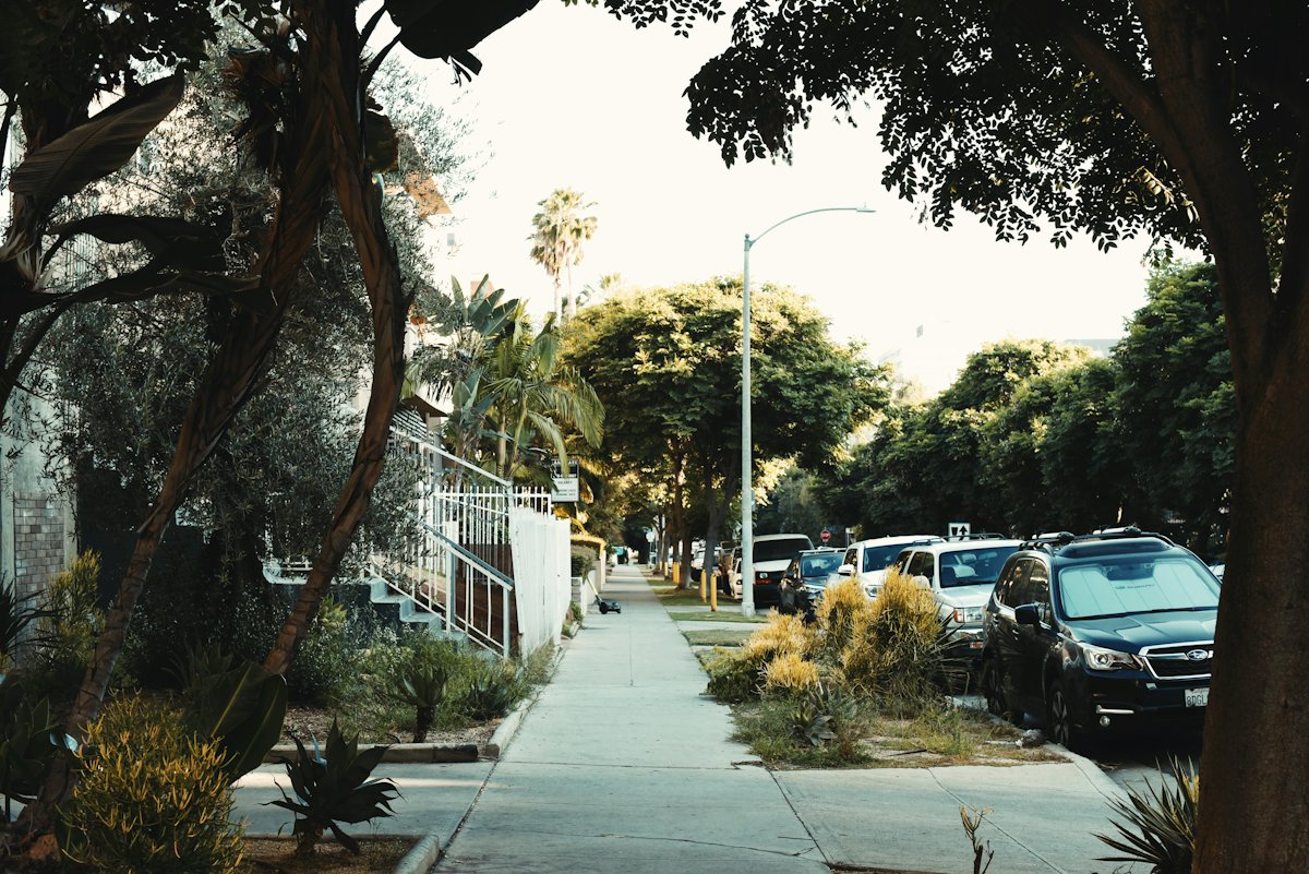 A quiet residential street in Los Angeles, lined with trees and parked cars.