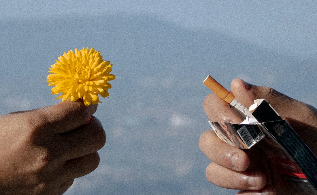 One hand offering a yellow flower beside another hand holding a pack of cigarettes.